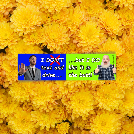 Don't Text & Drive Bumper Sticker